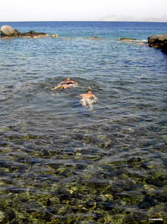 Some of the best snorkelling so far in the Greek islands was on Nissyros