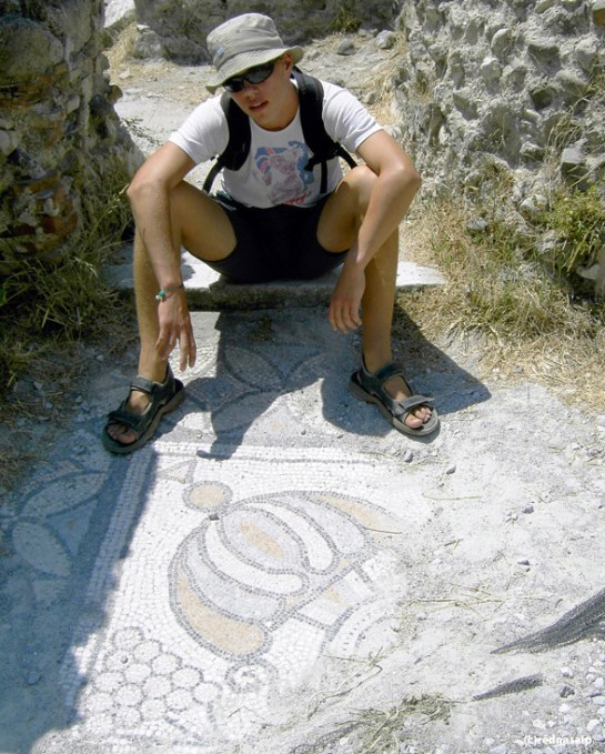 Roman mosaics in the ruins near Kos town